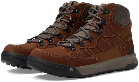 Amazon.com | Zamberlan,Men's,Vioz Lux GTX RR,Brick,8,Medium